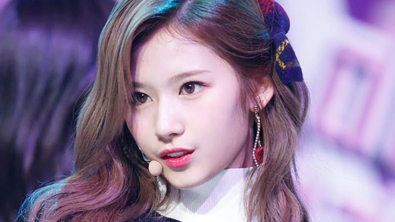 Twiceサナ 筋肉ムキムキのそっくりさん現る セクシーな水着姿の彼女はいったい誰 Kpop Monster Twiceサナ 筋肉ムキムキのそっくりさん現る セクシーな水着姿の彼女はいったい誰 Kpop Monster