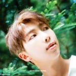 BTS RM