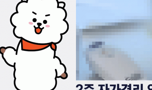 ニュースだけじゃない Bts ジンのキャラクターrj 韓国の映画 ドラマ バラエティーにも登場 その愛されっぷりは父親譲り Kpop Monster ニュースだけじゃない Bts ジンのキャラクターrj 韓国の映画 ドラマ バラエティーにも登場 その愛されっぷりは父親譲り Kpop Monster