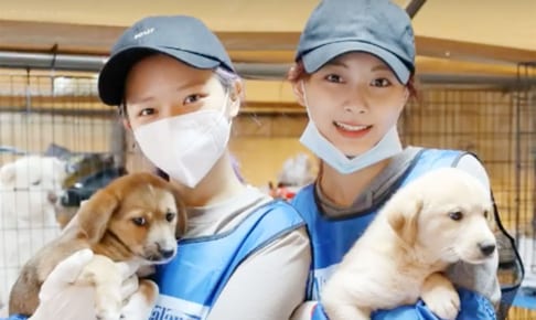 保護犬のボランティアに参加する TWICE ジョンヨン（左）、ツウィ（右）