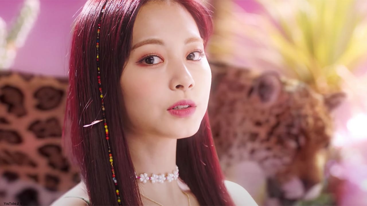 Twice More More のmvでツウィを取り巻く猛獣はチーターでもヒョウでもなく だった ツウィの衝撃発言にファンもびっくり その正体とは Kpop Monster Twice More More のmvでツウィを取り巻く猛獣はチーターでもヒョウでもなく だった ツウィの衝撃発言にファンもびっくり その正体とは Kpop Monster