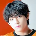 BTS V