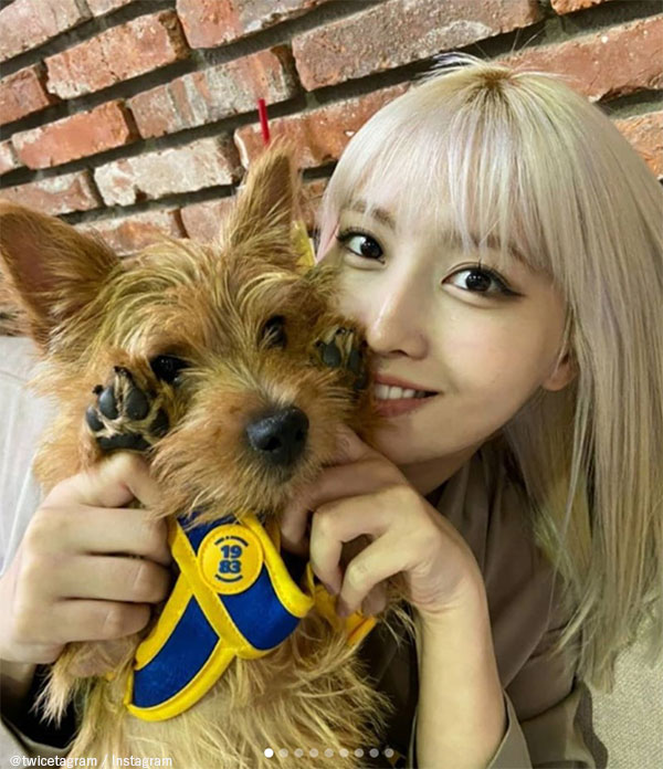 TWICE モモとその愛犬 ブー