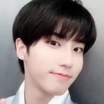 Stray Kids ハン