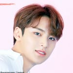 SEVENTEEN ミンギュ