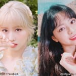 TWICE モモ、ITZY ユナ（右）