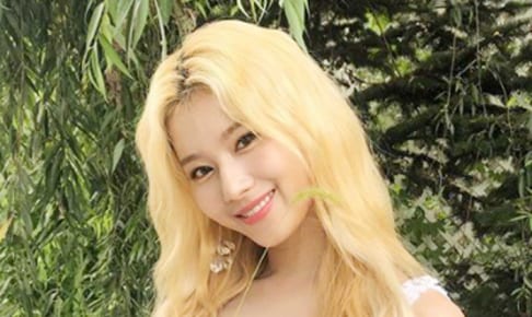 Twice モモ 新しい家族が増えたことを報告 愛犬 ブーにちなんだ名前も大募集 Kpop Monster