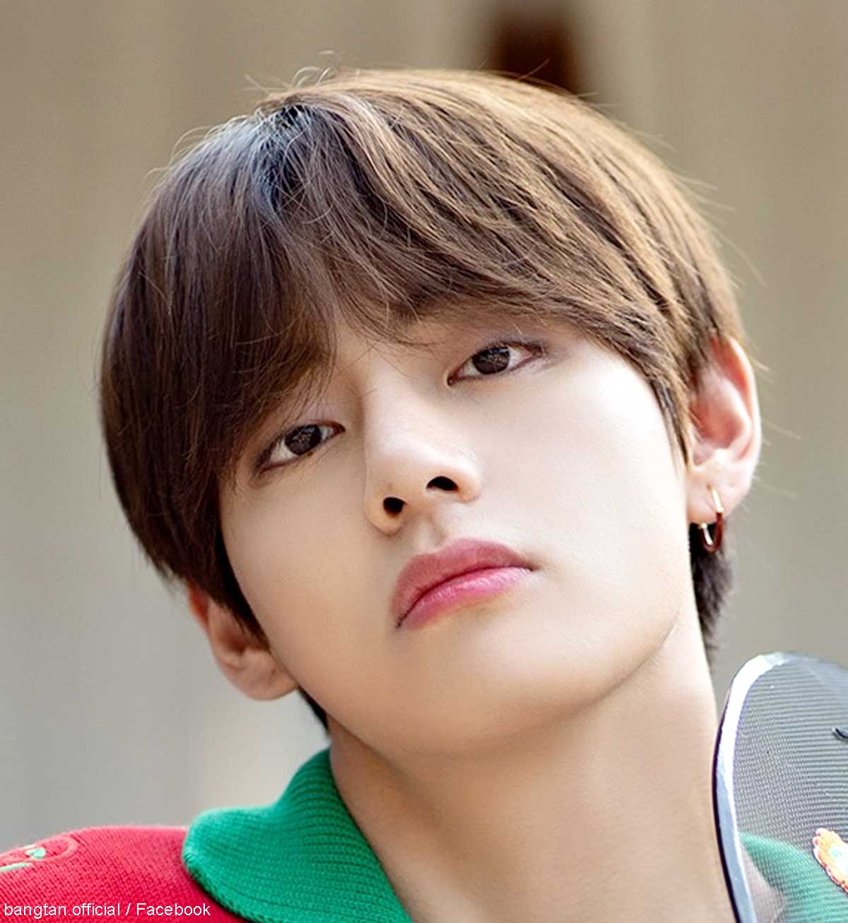 BTS V