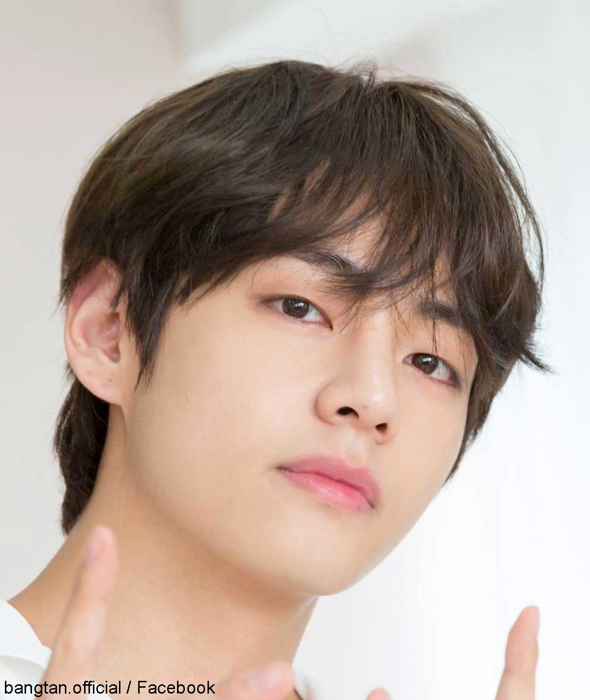 BTS V