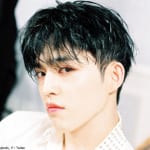 SEVENTEEN エスクプス
