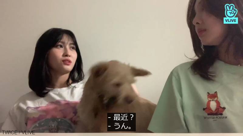 「最近”特に”」と、今に始まったことではないと強調するナヨン(右)