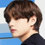 BTS V