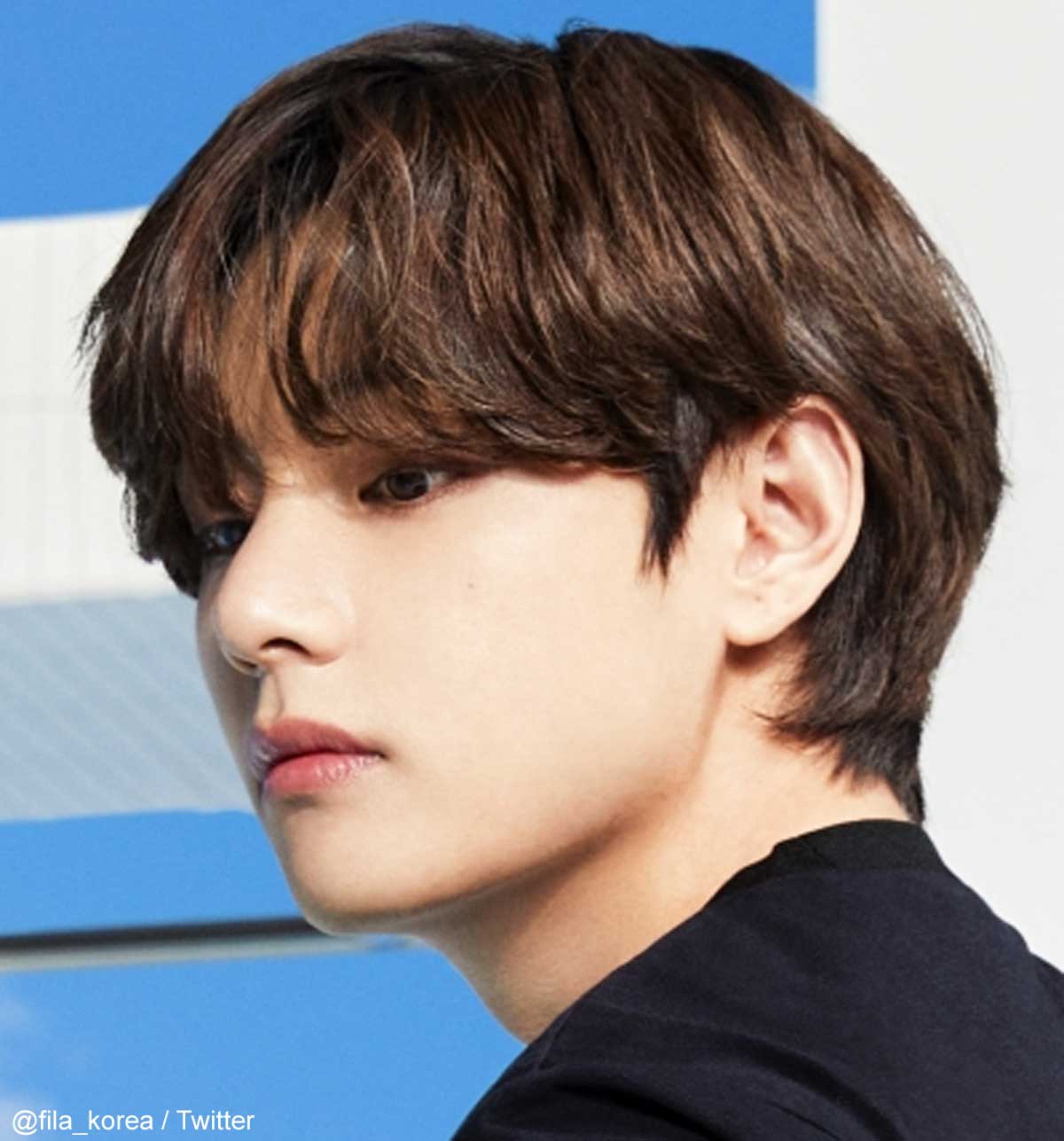 BTS V