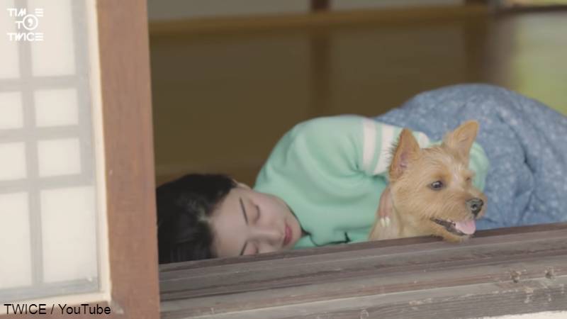 お昼寝するジヒョとモモの愛犬 ブー