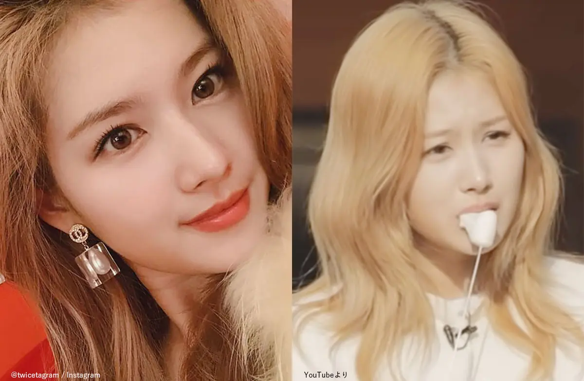 Twice サナ 寝ても覚めてもマシュマロに夢中 まるで子供のように大よろこびして口いっぱいにほおばって マシュマロにメロメロになるサナの幸せそうな姿にファン胸キュン Kpop Monster