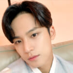 SEVENTEEN ミンギュ