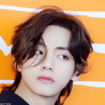 BTS V