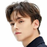 SEVENTEEN バーノン