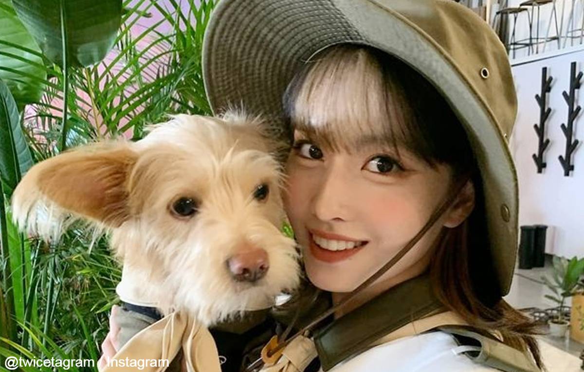 TWICE モモと愛犬 ドビー