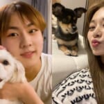 ENHYPEN ジョンウォン（左）、TWICE ツウィ（右）
