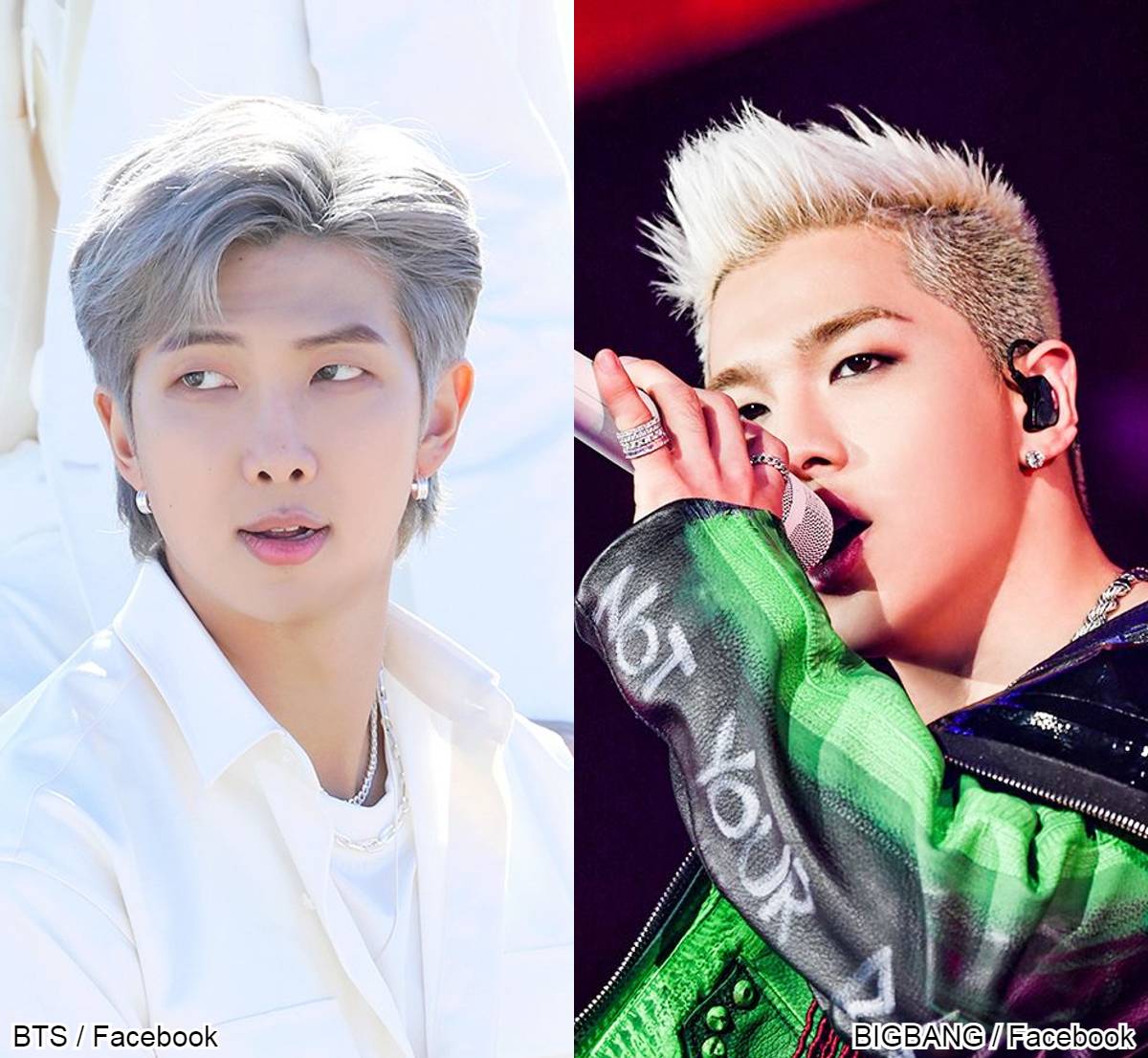 BTS RM、BIGBANG SOL（右）