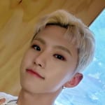 SEVENTEEN ホシ