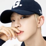 SEVENTEEN ホシ