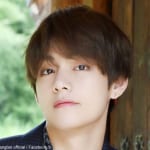 BTS V