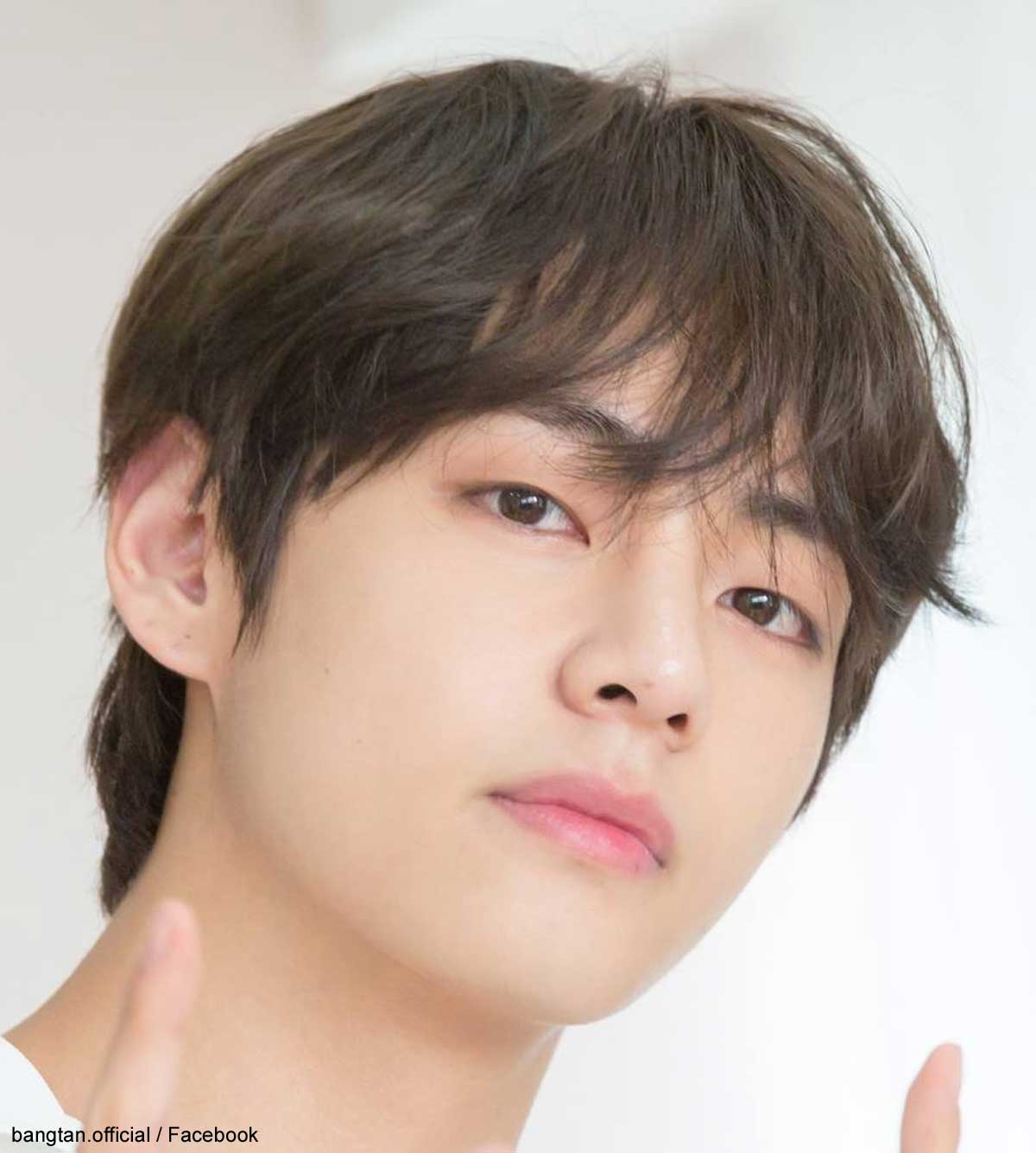 BTS V