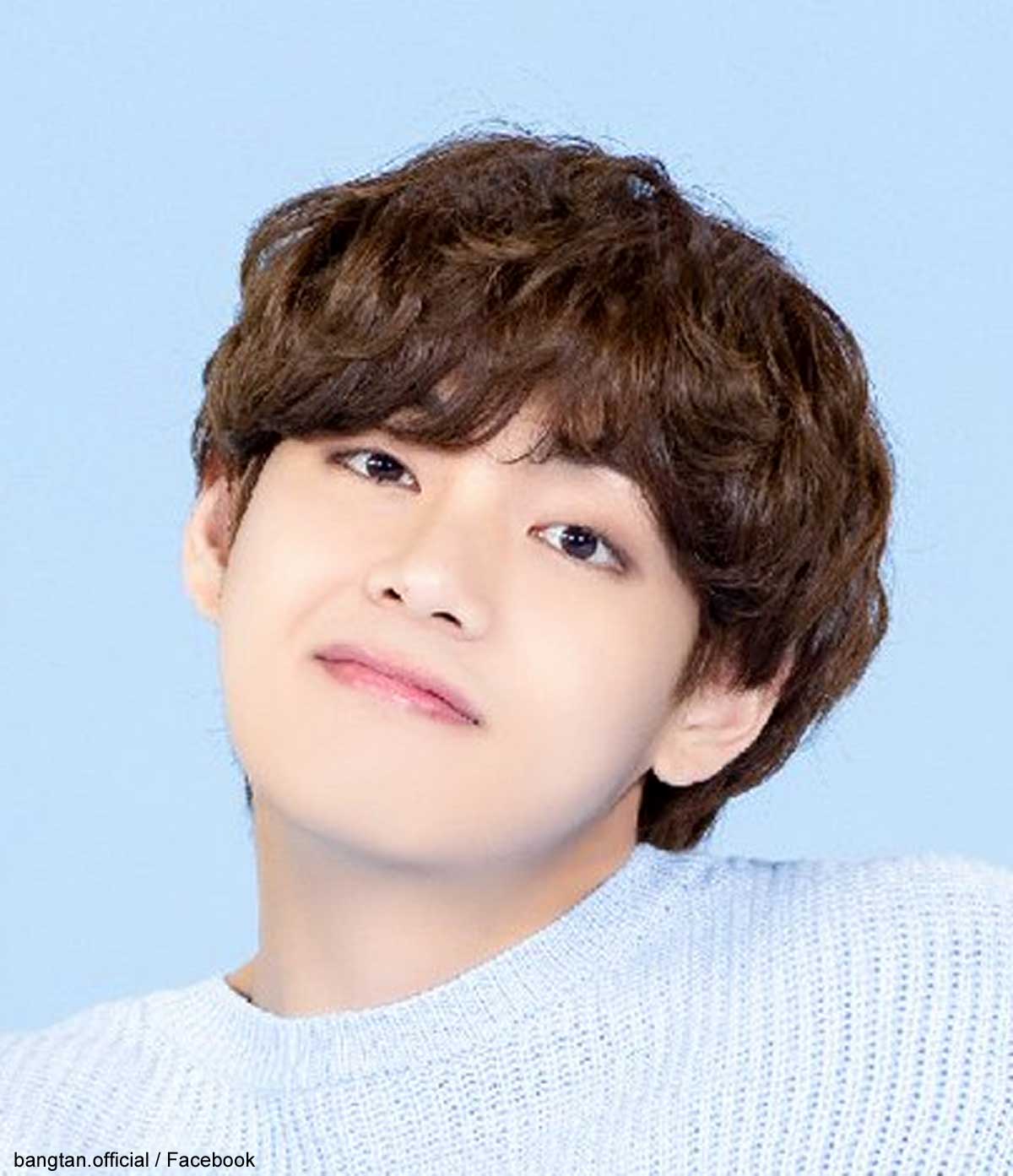 BTS V