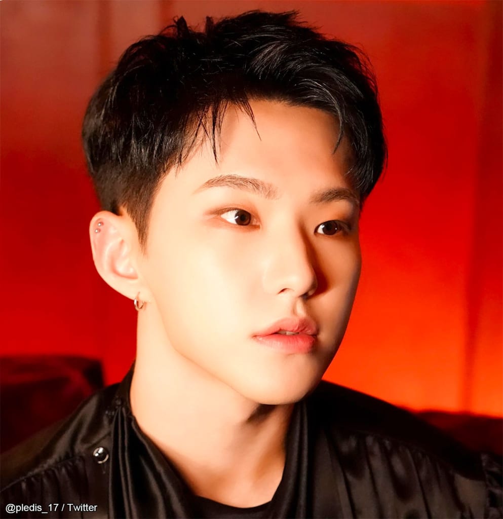 SEVENTEEN ホシ、日本での特別な思い出を語る！「CARATたちと一緒に〇〇してもいいかなと思って…」名古屋でのユニークなエピソードに ...