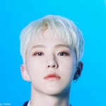 SEVENTEEN ホシ