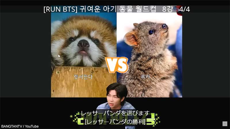 レッサーパンダを選んだRM